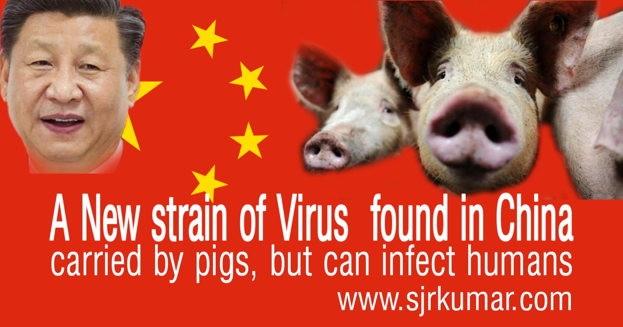 Read more about the article A New strain of Flu Virus with ‘Pandemic Potential’ found in China…