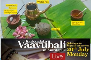 Read more about the article Vavubali Puja @ Amritapuri: Online Registration